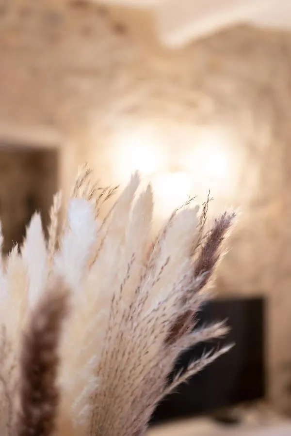 Suite Fusion - Charme De L'Ancien Et Confort Moderne - Vieux Nice - 2 Chambres - Wifi - 5 Min Des Plages - 30 Min De Cannes Et Monaco Apartmán